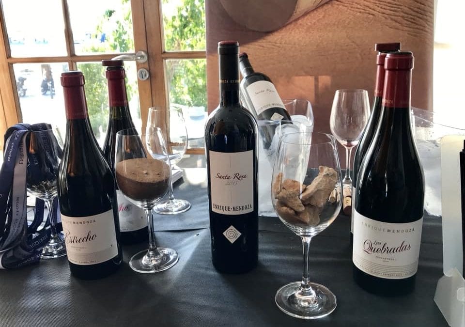 Visit the Mendoza vineyard tour and sample wines